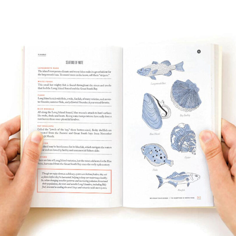 Wildsam Travel Guide - Hamptons & North Fork image number 2