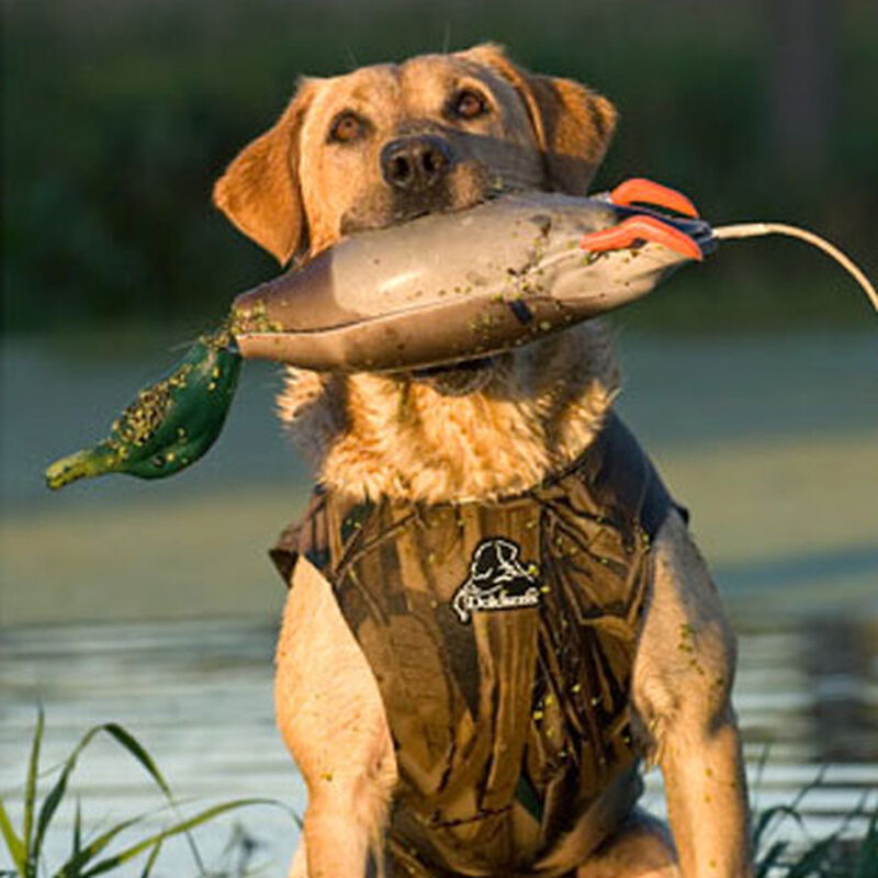 Dokken's DeadFowl Trainers Mallard image number 2