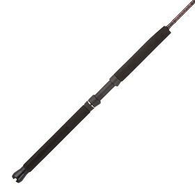 PENN Rampage Jig Spinning Rod