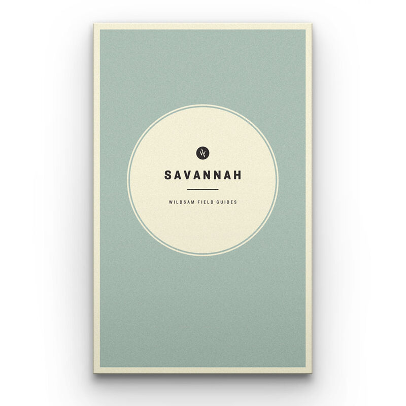 Wildsam Travel Guide - Savannah image number 1