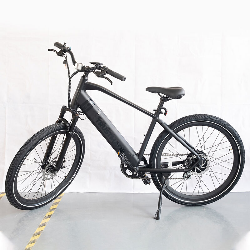 Trustmade TE-300 Electric Bicycle image number 1