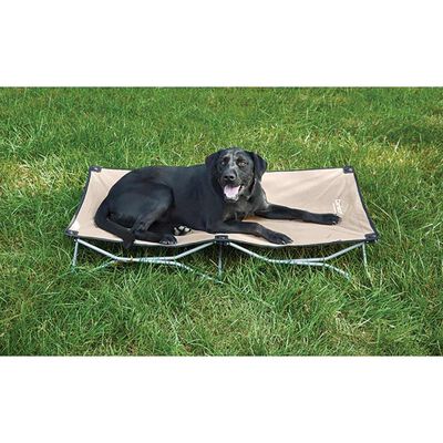 Carlson Large Portable Dog Bed