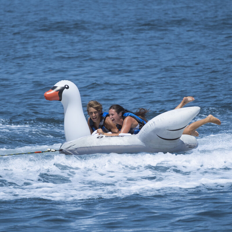 Solstice Swan 2-Person Towable Tube | Overton's
