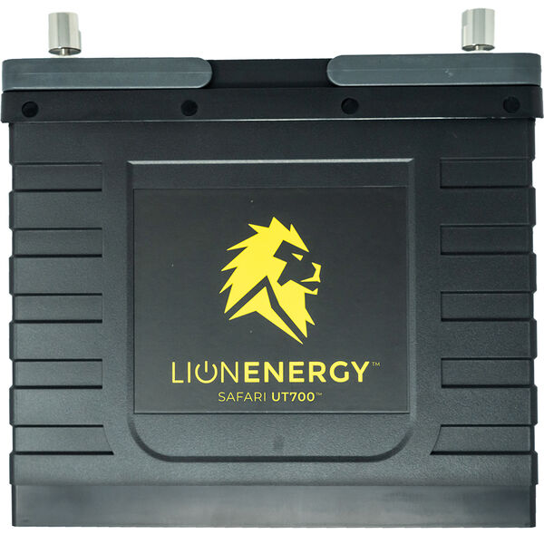 Lion 12v аккумулятор