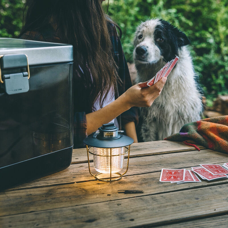 Coleman 1900 Collection 200-Lumen LED Lantern image number 8