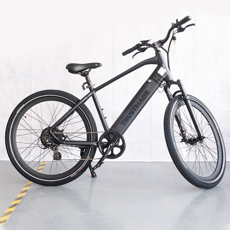 Trustmade TE-300 Electric Bicycle image number 2
