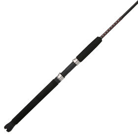 Shakespeare Ugly Stik Bigwater Downrigger Casting Rod
