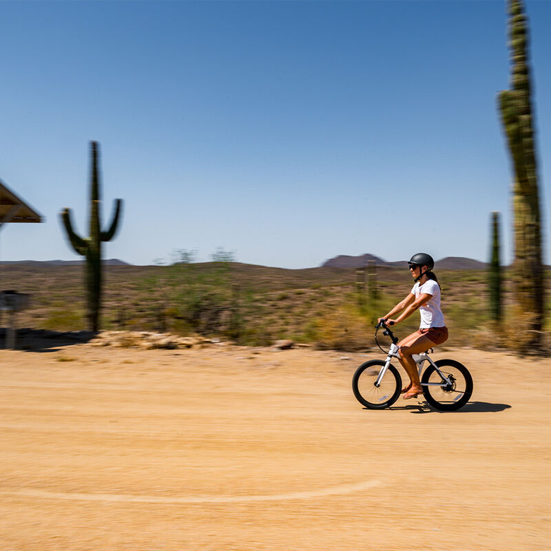 JackRabbit OG, The Original Micro eBike image number 23