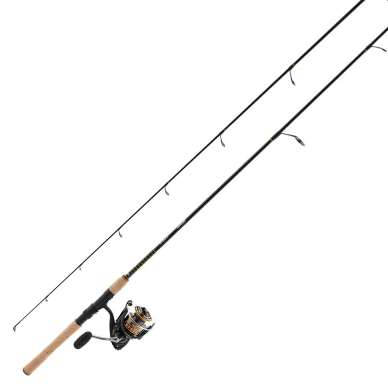 Daiwa BG Inshore Spinning Combo image number 1