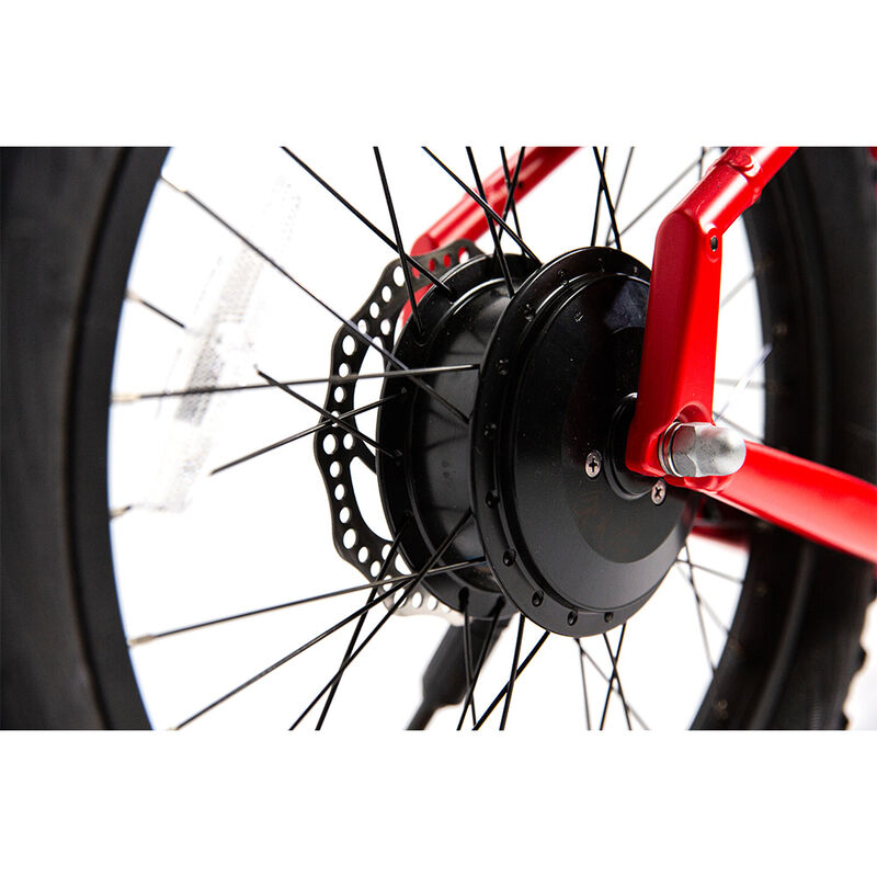 JackRabbit XG, The XL Micro eBike image number 41