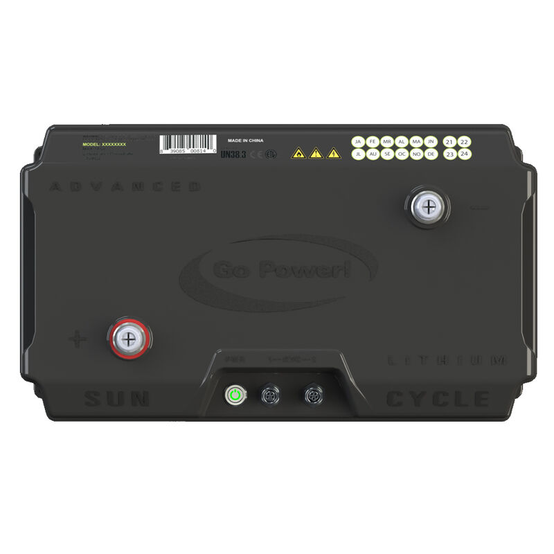Dometic Go Power! Advanced 100Ah 12V Lithium Battery (GP-ADV-LIFEPO4-100) image number 4