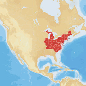 Navionics Hot Maps Platinum Cartography, East