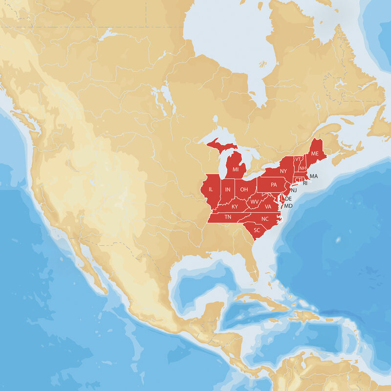 Navionics Hot Maps Platinum Cartography, East image number 1