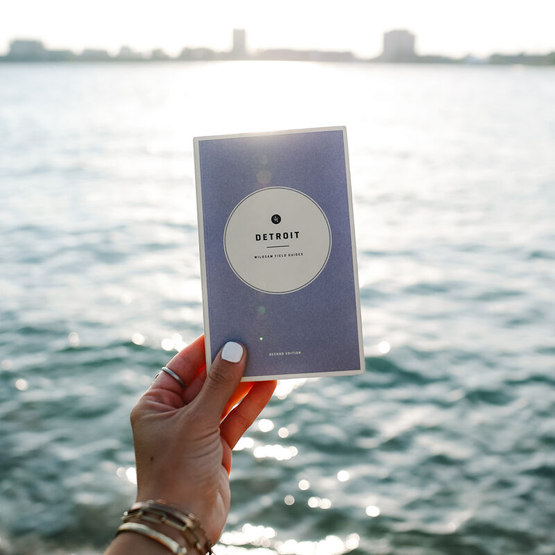 Wildsam Travel Guide - Detroit image number 4