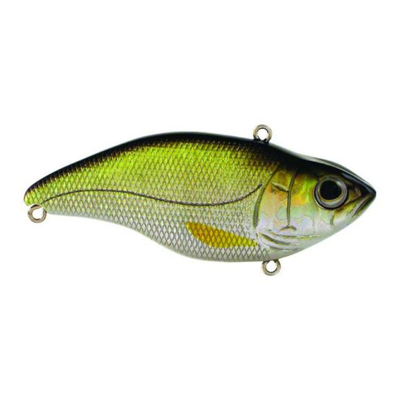 SPRO Aruku Shad Jr. Lipless Crankbait image number 9