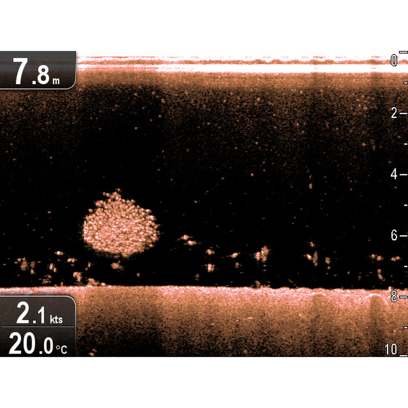 Raymarine Dragonfly 4 DVS With Dual-Channel CHIRP DownVision Sonar image number 3