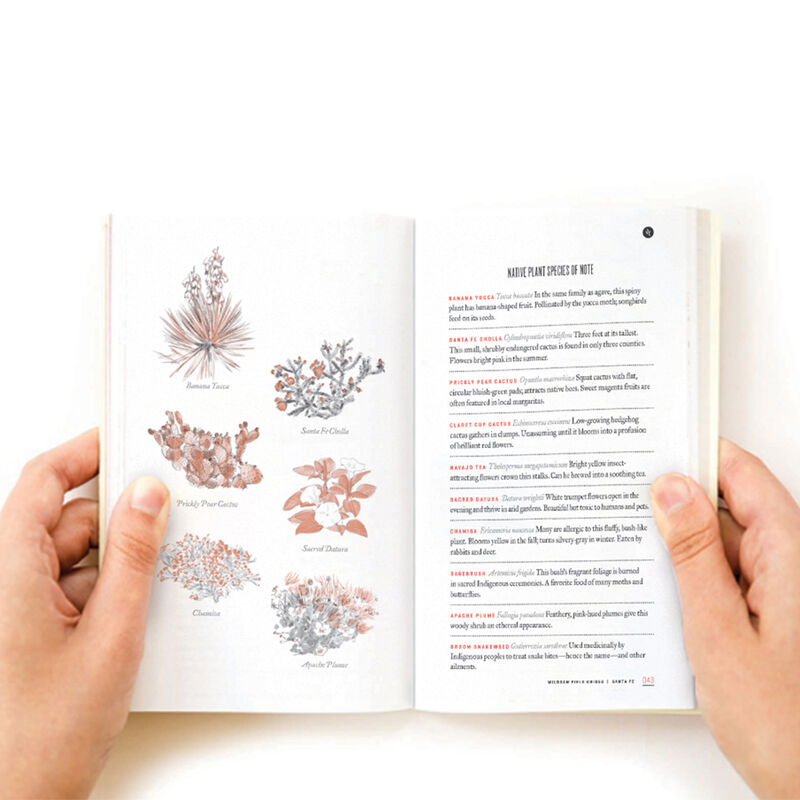 Wildsam Travel Guide - Santa Fe image number 2