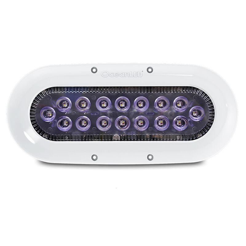 Ocean LED X-Series X16 - Midnight Blue LEDs image number 1
