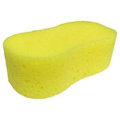 Cleaning Sponge