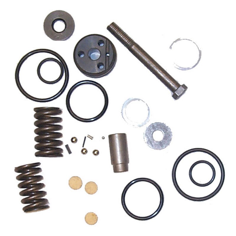 Sierra Trim Cylinder Repair Kit For Mercury Marine Engine, Sierra Part #18-2428 image number 1