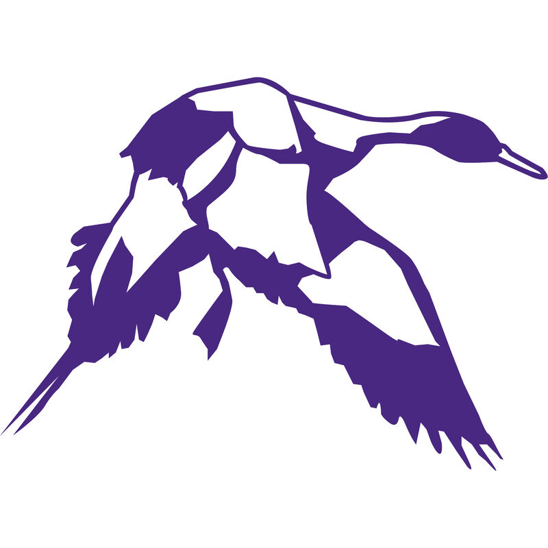 Pintail Vinyl Decal image number 9