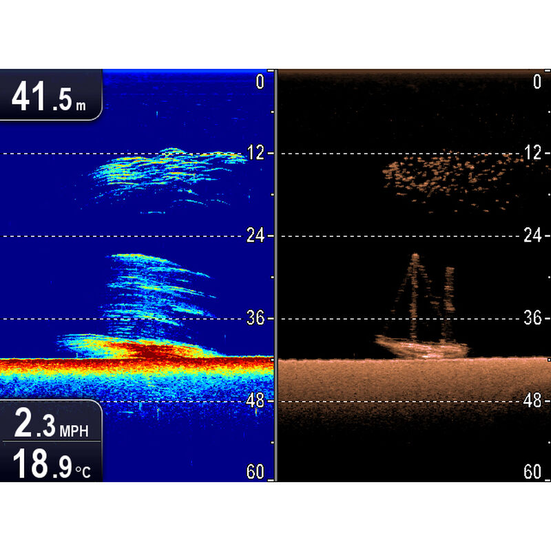 Raymarine Dragonfly 5 DVS With Dual-Channel CHIRP DownVision Sonar image number 5