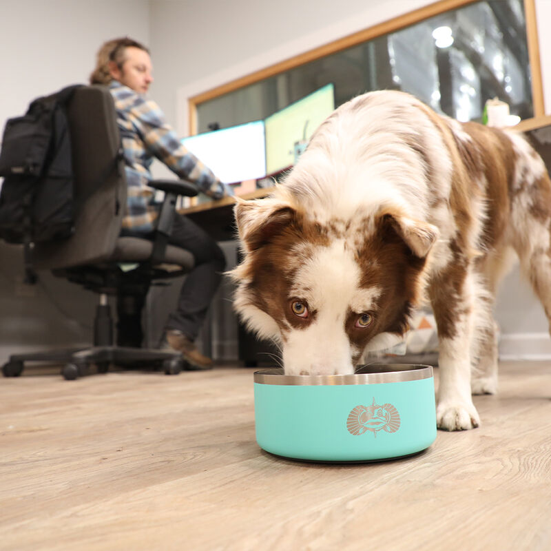 Toadfish Non-Tipping Dog Bowl image number 5