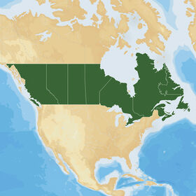 Navionics Hot Maps Platinum Cartography, Canada