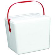 10 Can Small Premium Cooler