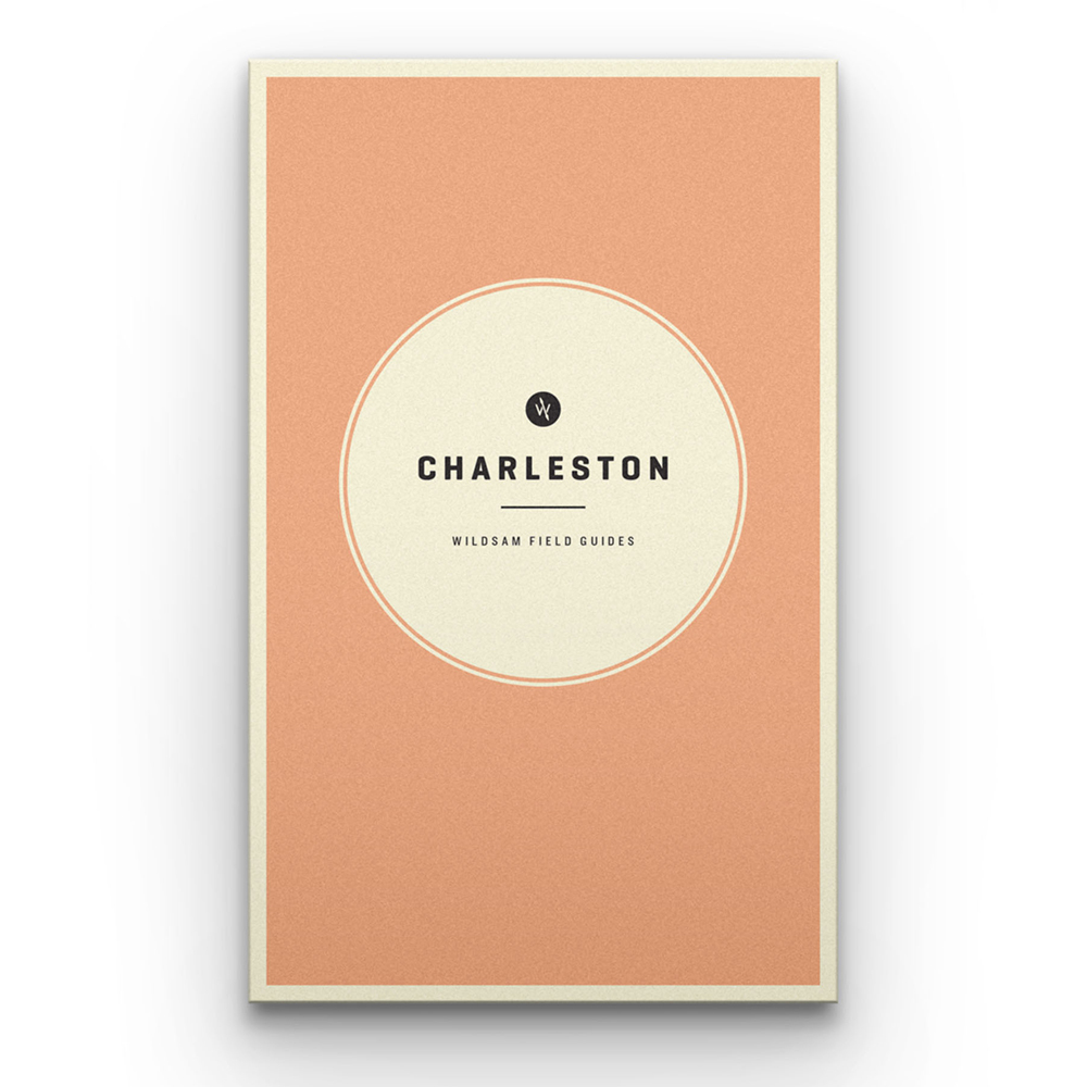  Travel Guide - Charleston - $16.11 at Overton's