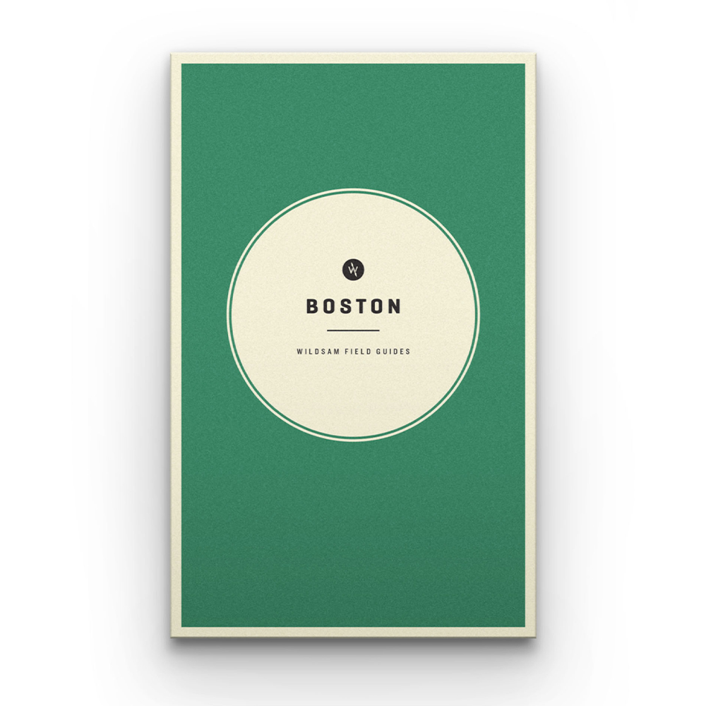 Travel Guide - Boston - $16.11 at Overton's