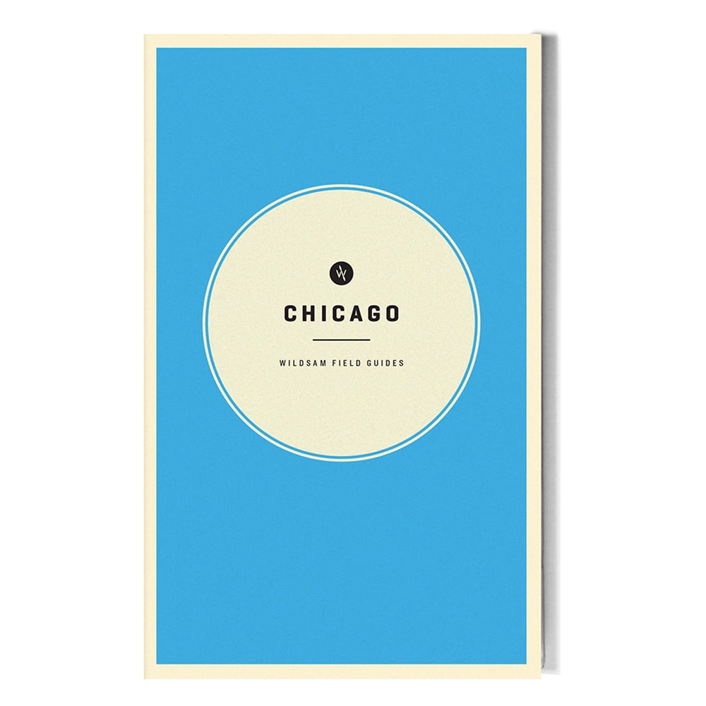  Travel Guide - Chicago in White - $16.11 at Overton's