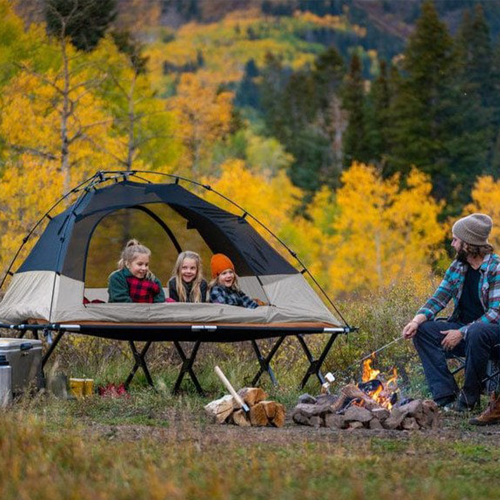 テント TETON Sports Vista 2 Quick Tent; 2 Person Dome Camping Tent; Easy Instant Setup, Brown 並行輸入品 TETON Sports Vista 2-Person Quick Tent