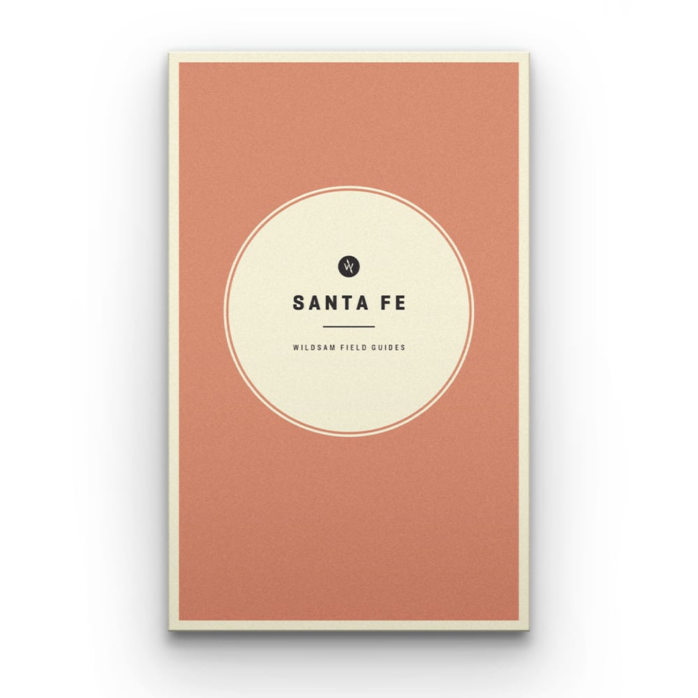  Travel Guide - Santa Fe in Green - $16.11 at Overton's