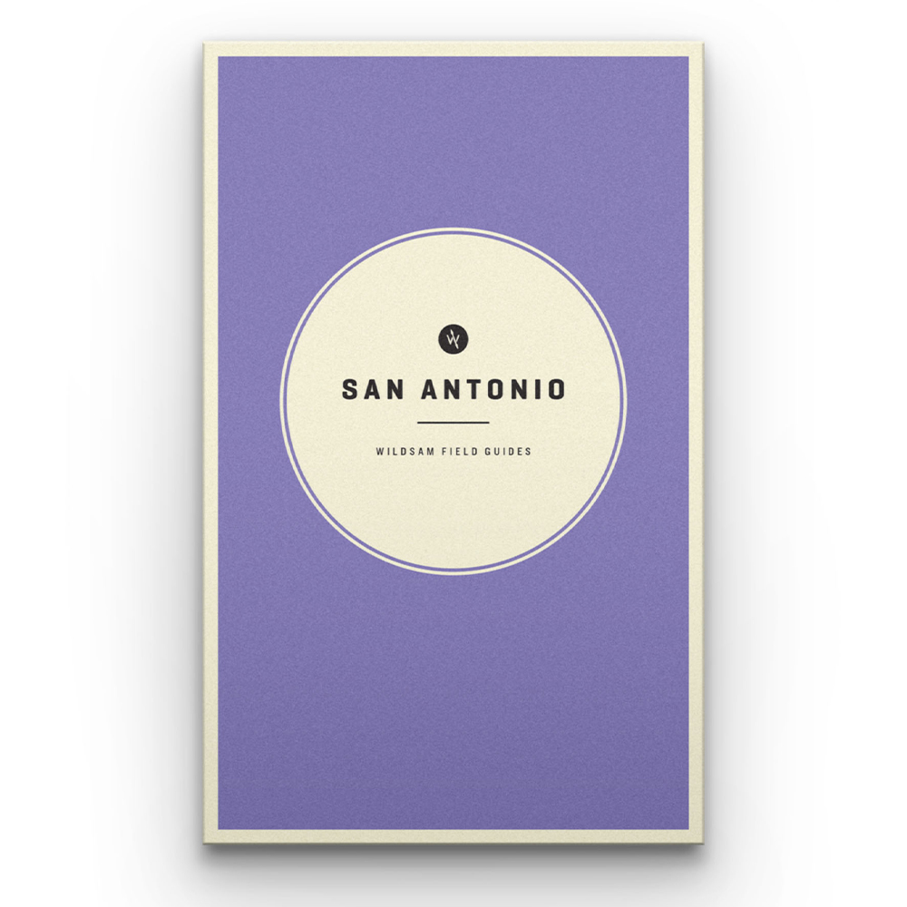 Travel Guide - San Antonio