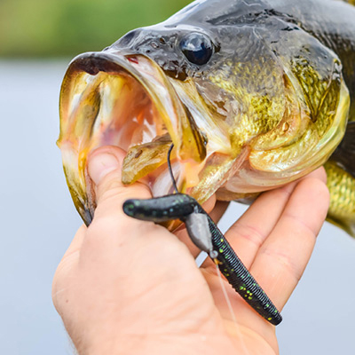 fishing accessories for sale